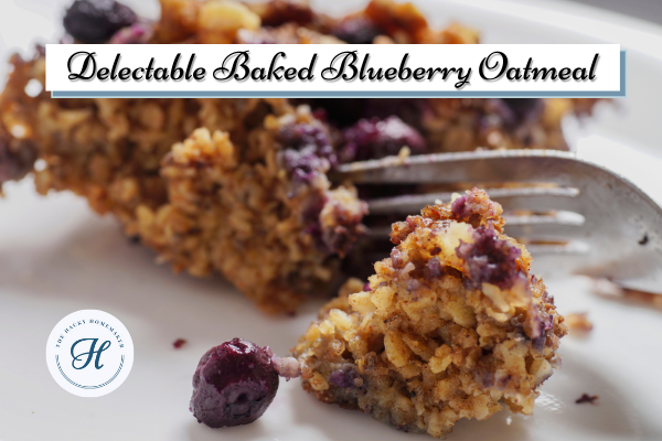 Baked Blueberry Oatmeal - a recipe by The Hacky Homemaker