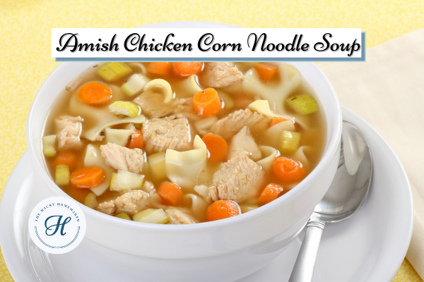 The Hacky Homemaker Recipe for Amish Chicken Corn Noodle Soup